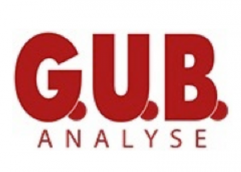 GUB Analyse